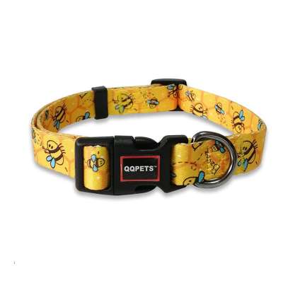 QQPETS Dog Collar Personalized Adjustable Basic Soft Comfortable Pattern Collars