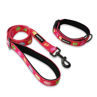 Eco friendly padded handle dog collar and leash on china manufacturer