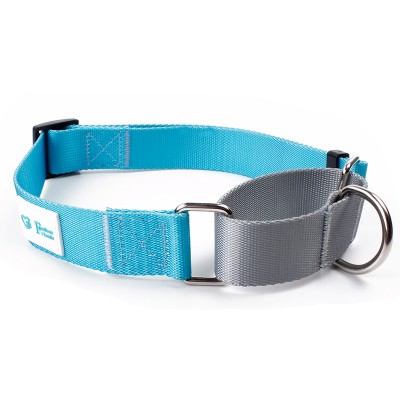 Amazon top nylon solid color martingale collars for dog