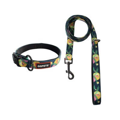 More colorful neoprene padded custom pattern polyester print dog collar and leash