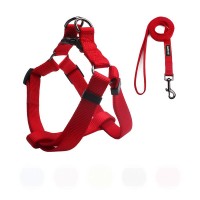 Colorful pure design with custom dog harness and leash on stock